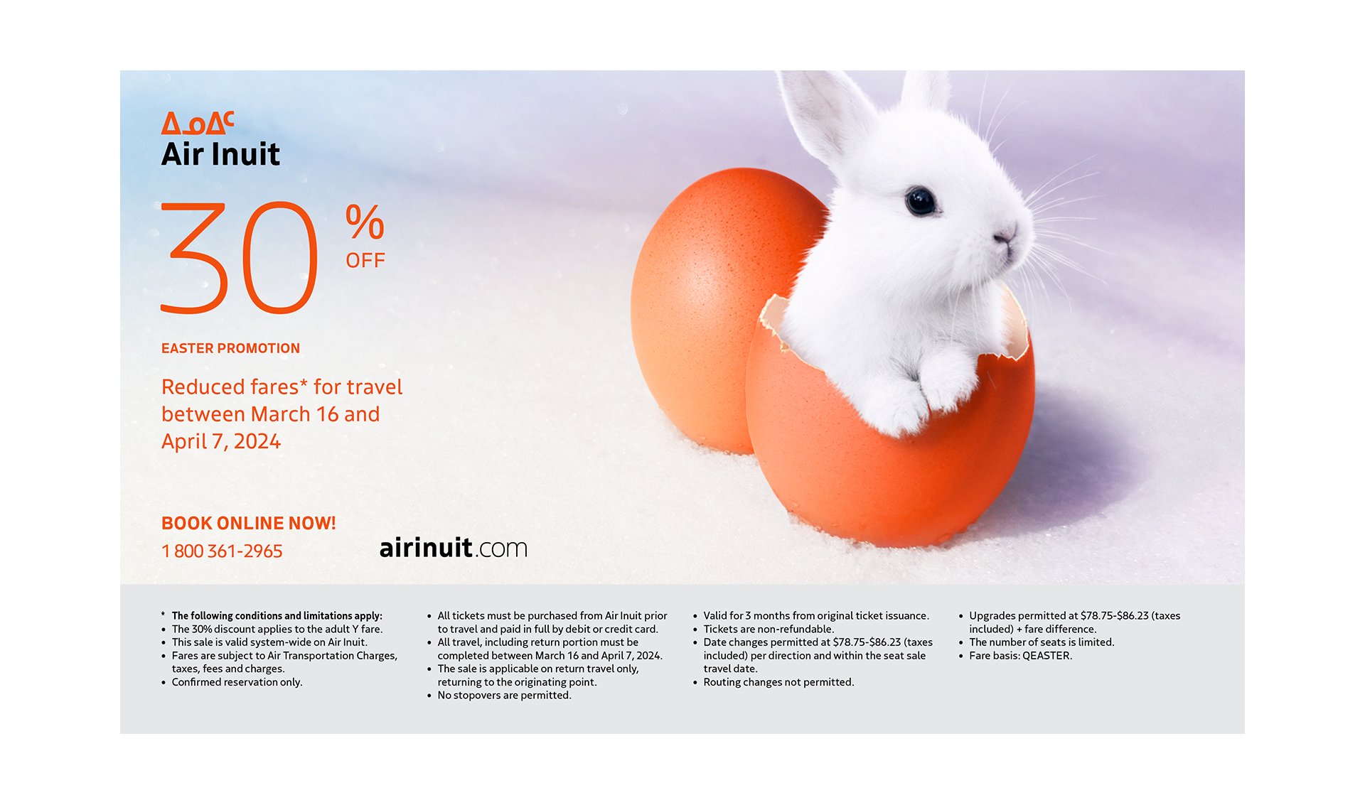 Rabbit air deals discount